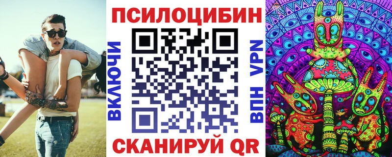 Купить  Грязовец  Псилоцибиновые грибы Cubensis 